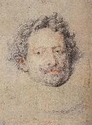 Peter Paul Rubens Dige Spain oil painting artist